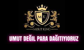 Meritking Logo